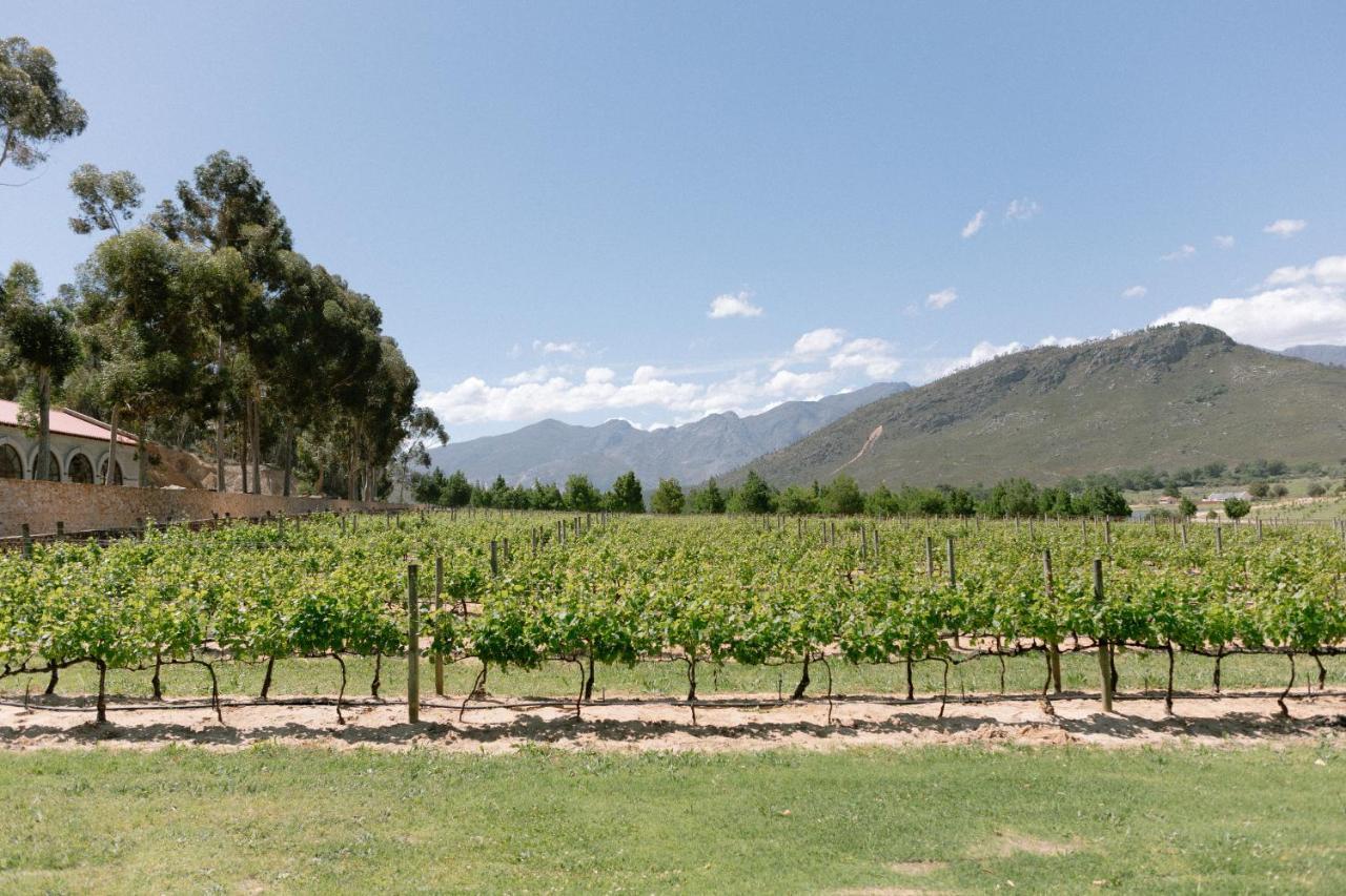 Appartamento La Roche Estate Franschhoek Esterno foto